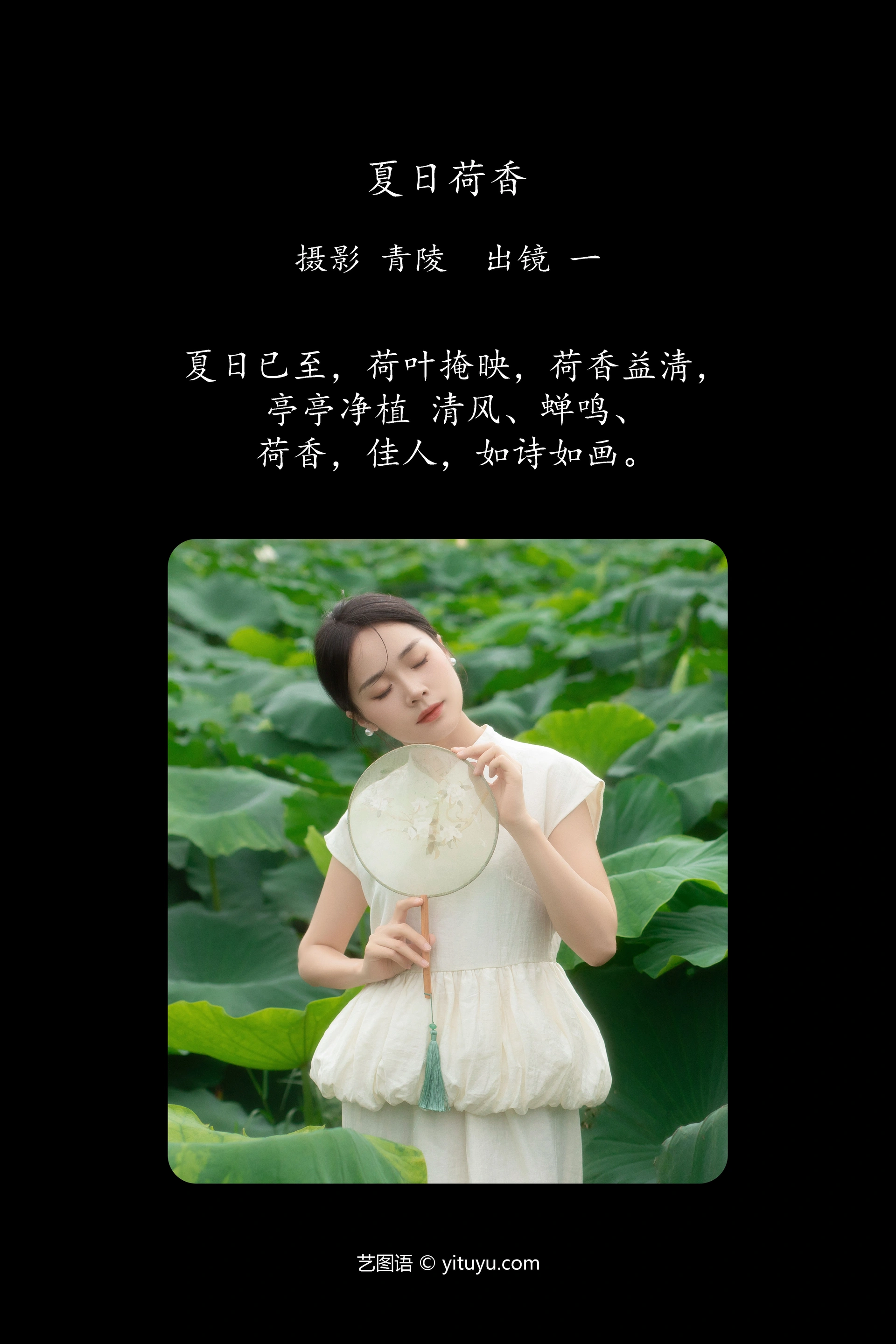 [YITUYU艺图语]2024.11.05 夏日荷香 一 0